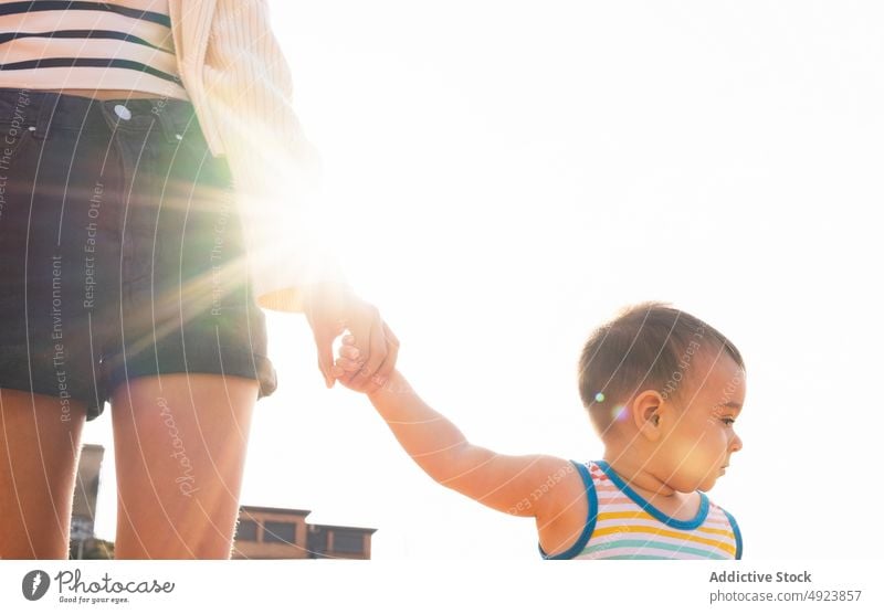 Crop mother and son holding hands sunlight street together love tender summer daytime sunny woman boy child motherhood childhood parent mom shorts adorable