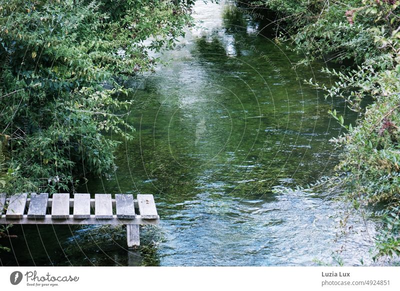 Footbridge into the water, all around green, summer light Water River Little river Brook Green wooden walkway Bushes Branchage Flow fluid running water ripple