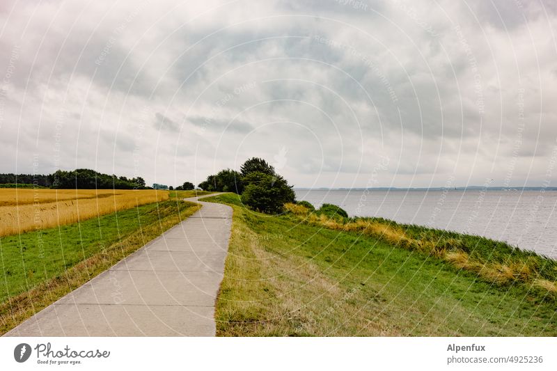 Wanderlust | at the Bodden Baltic Sea pre-Pomerania meckpomm vacation Hiking duene Ocean Tourism Field and meadow Meadow Remote View Hiddensee Zingst