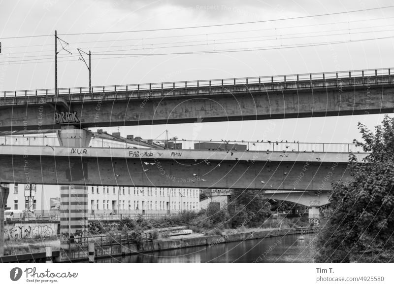 Bridges with pigeons moabit bnw b/w railway line Railroad bridge Berlin Channel Black & white photo Day Exterior shot Deserted Capital city Town Downtown