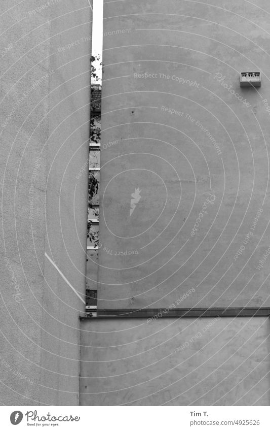 Gap between houses in a yard Backyard Berlin Column b/w Wall (building) Black & white photo Day Town Deserted Capital city Old town Downtown Exterior shot