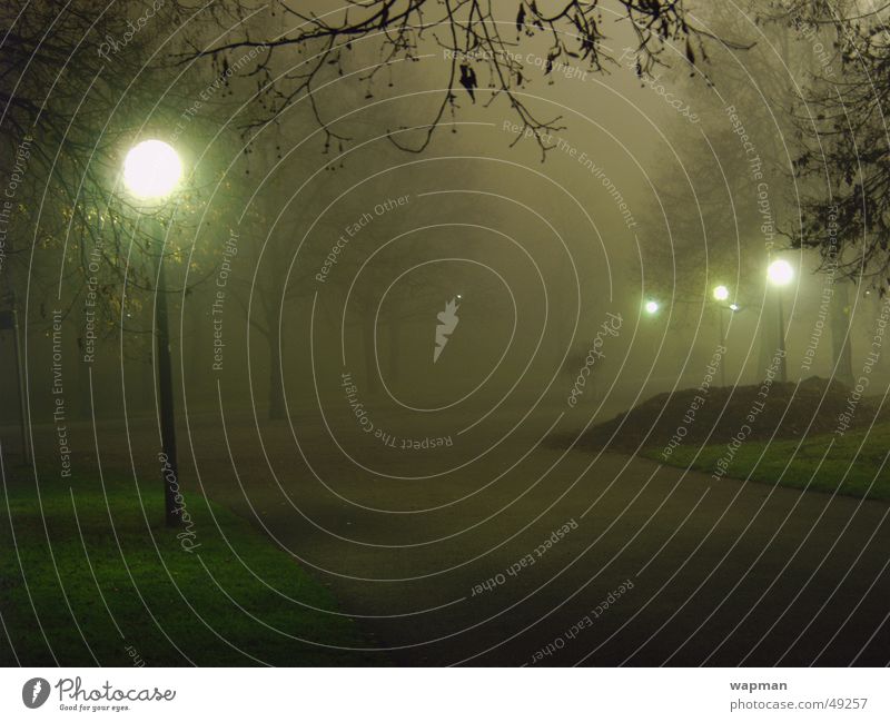 Olympiapark in the fog Fog Night Dark Creepy Street lighting Tree Munich Olympic Park Long exposure