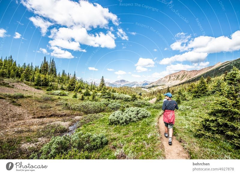 wanderlust | in the fabulous rockies with lots of bears! wide Far-off places Wanderlust Deserted Alberta Fantastic especially Tourism Vacation & Travel Sky