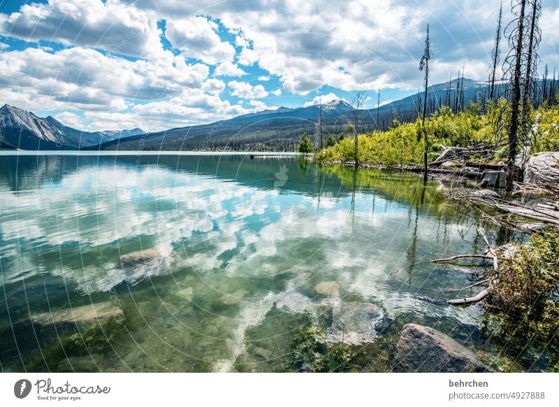 mirror stories Reflection wide mountain lake Impressive Medicine Lake Far-off places Wanderlust especially Vacation & Travel Fantastic Nature North America