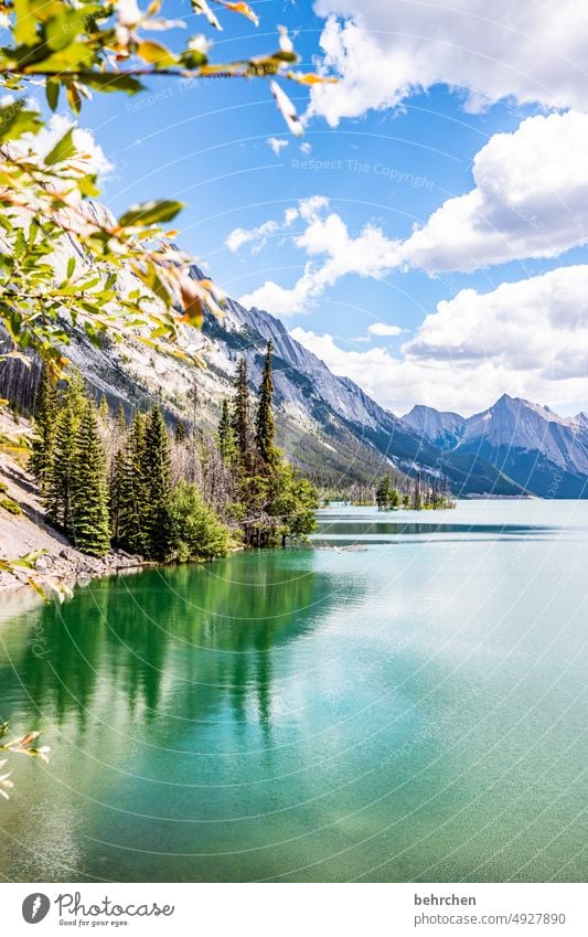 too good to be true! Medicine Lake wide mountain lake Reflection Far-off places Wanderlust especially Vacation & Travel Tourism Deserted Fantastic Colour photo