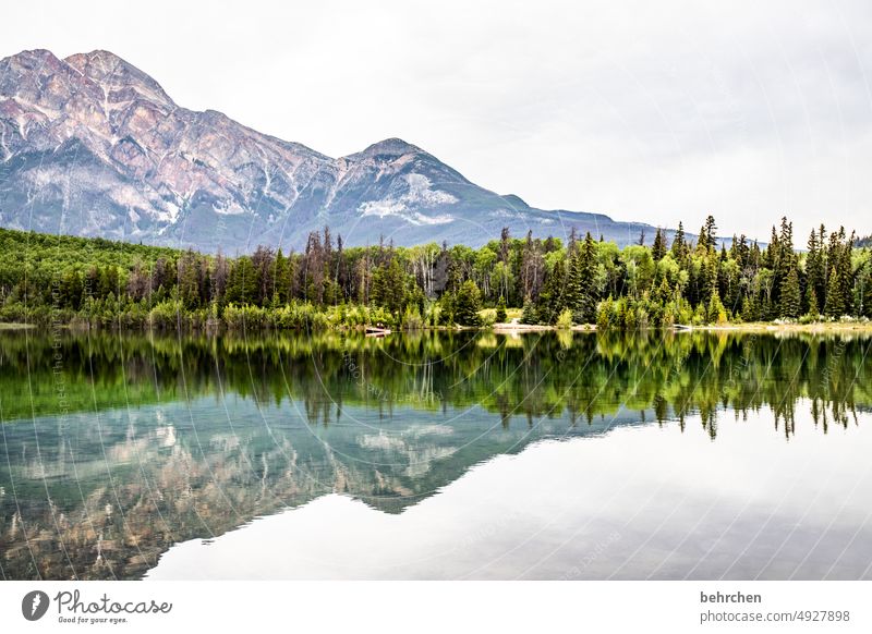 doubly beautiful! mountain lake Reflection wide Far-off places Wanderlust especially Fantastic Deserted Tourism Vacation & Travel Colour photo North America