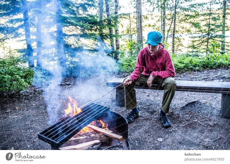 read stories campfire camping fortunate Joy Contentment Canada Vacation & Travel contented Nature Landscape Far-off places Freedom Colour photo Exterior shot