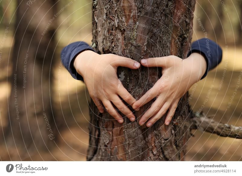 Child hug a tree in forest. Concept of global problem of carbon dioxide and global warming.Child's hands making a heart shape on a tree trunk. Love of nature. Hands around the trunk of a tree.