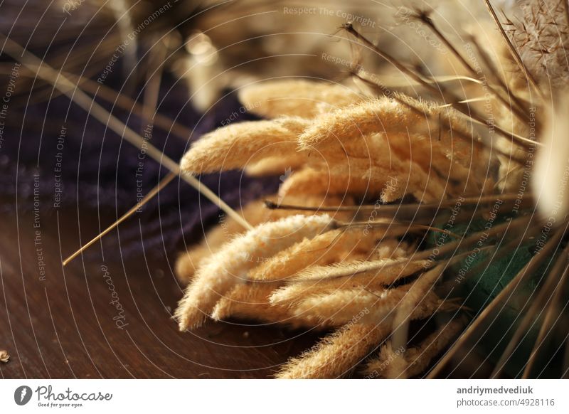 close up of dry flowers in the interior. A bouquet of dry grass is collected in a bouquet for the decoration of the room. Floral minimalist home interior in boho style.