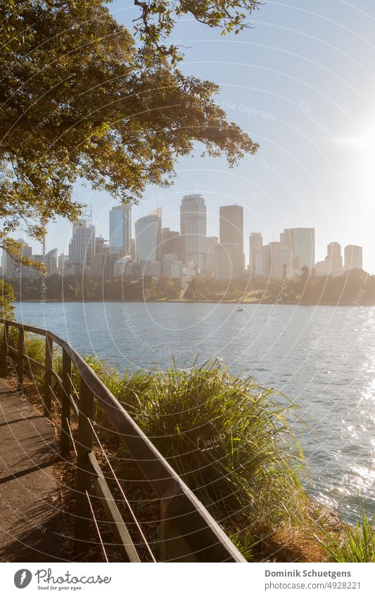 Sunset behind Sydney skyline, Australia Skyline Harbor city High-rise Port City Vacation & Travel Colour photo Town Exterior shot Tourism New South Wales