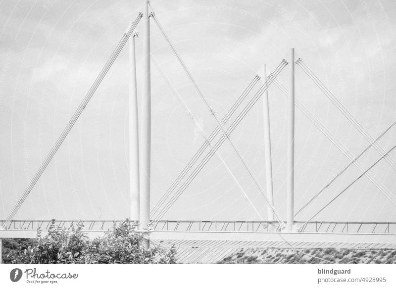 Highkey Bridge and Clouds Dunkirk France Geometry Tree trees Bright Exterior shot Deserted Nature Sky Steel Construction Connection Metal Modern Architecture