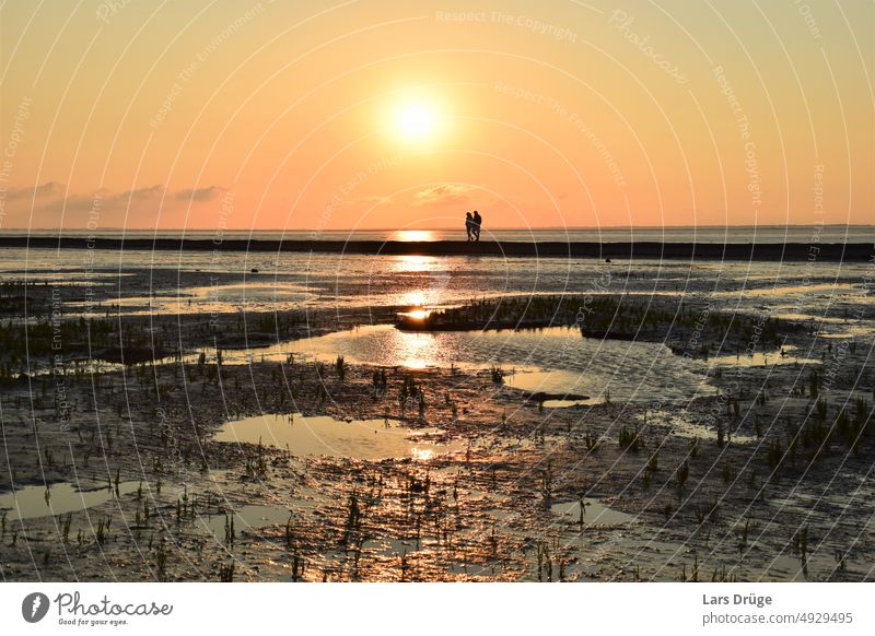 Sunset on the North Sea coast. Sun on the beach sunshine sunset Sunlight Ocean Germany Couple To go for a walk Love Beach Sand vacation time-out