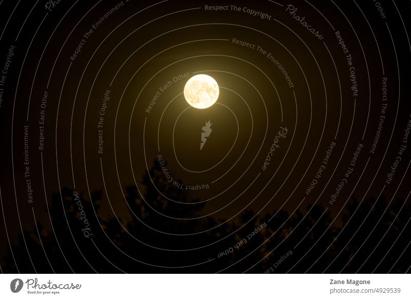 Supermoon at night supermoon dark shiny astrology astronomy magical mystical scary evening super moon big moon Full  moon Planet luna Dark