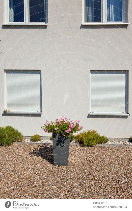 Facade with front garden Architecture Germany Window Building Capital city House (Residential Structure) Kiez Life Middle New building Town city district