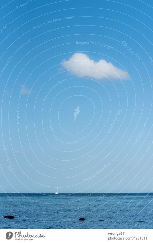 A white sailboat on the distant horizon Blue lake Baltic Sea Blue sky fair weather clouds sea view Horizon Horizon above the water Sky Water Ocean Nature