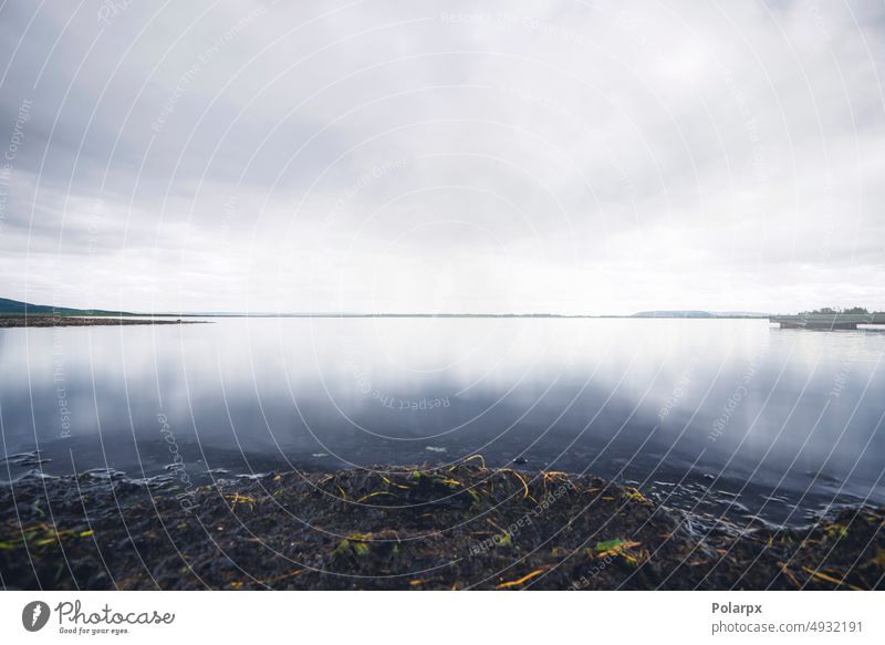 Calm lake in dull cloudy weather in the fall muddy seaweed calm norway iceland sweden denmark grey day scandinavia bright fog blur haze season shore surface