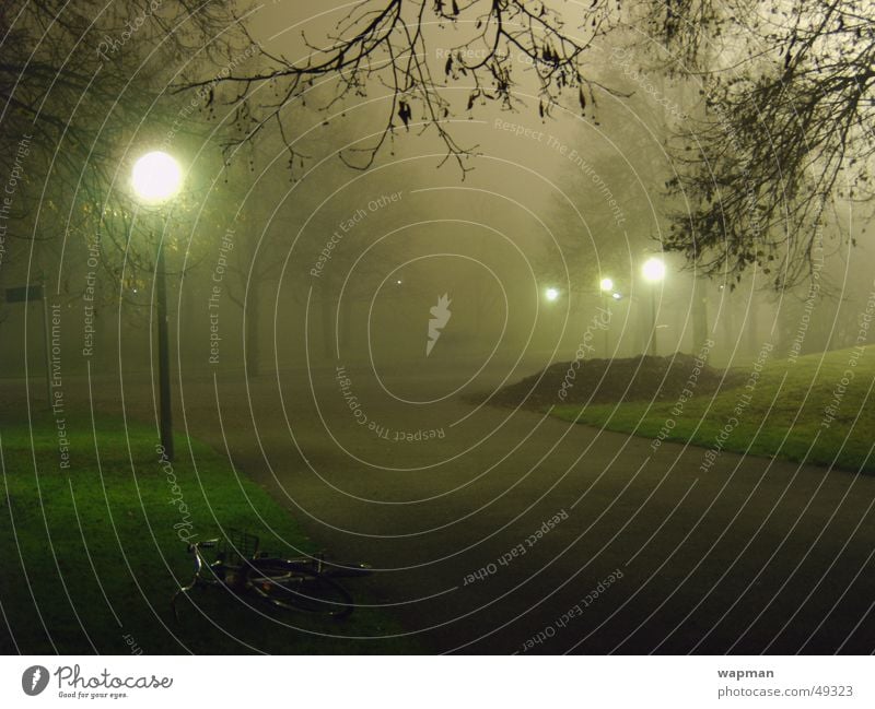 Olympic Park in the Fog - II Night Dark Creepy Street lighting Tree Munich Long exposure