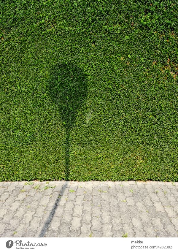 A lantern decorates as a balloon Shadow Light Sunlight Shadow play Structures and shapes Light and shadow Contrast Pattern Hedge Green Garden Wall (building)