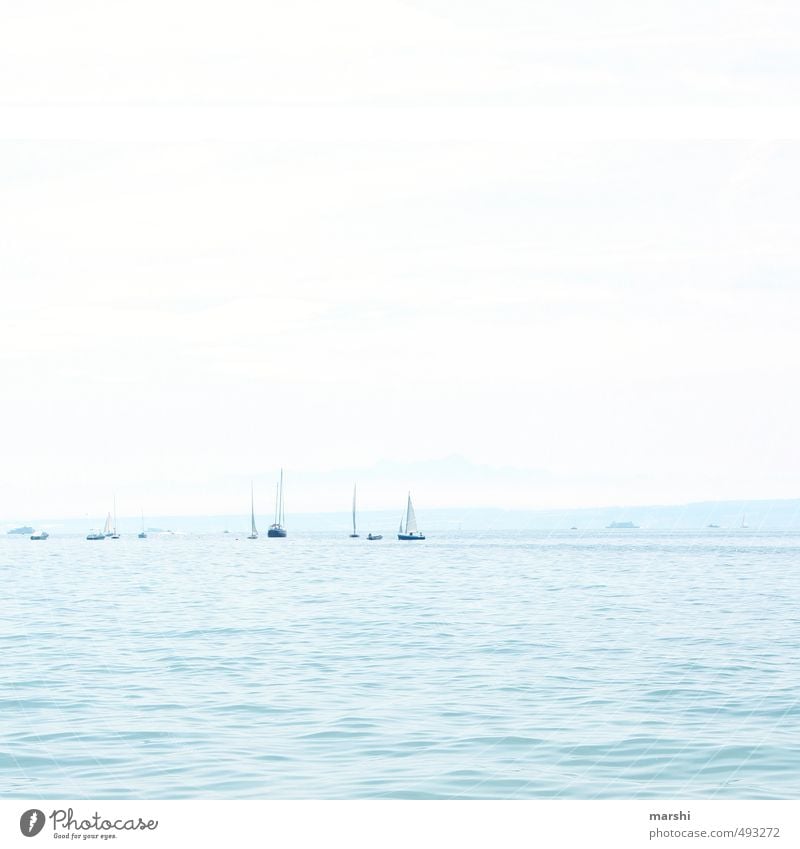 Swabian Sea Leisure and hobbies Aquatics Nature Landscape Coast Blue Lake Constance Sailing Sailboat Light blue Bright Travel photography Colour photo