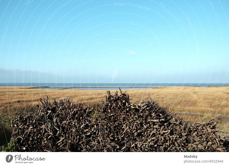 Coastal protection by barge construction in autumn in the Wadden Sea World Heritage Site in sunshine in Bensersiel near Esens on the North Sea in East Frisia in Lower Saxony