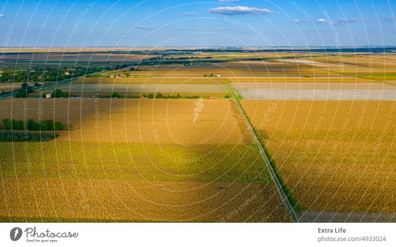 Aerial view over agricultural fields in autumn with cereals ripe for harvest Above Agricultural Agriculture Arable Autumn Cereal Cloud Corn Country Crop