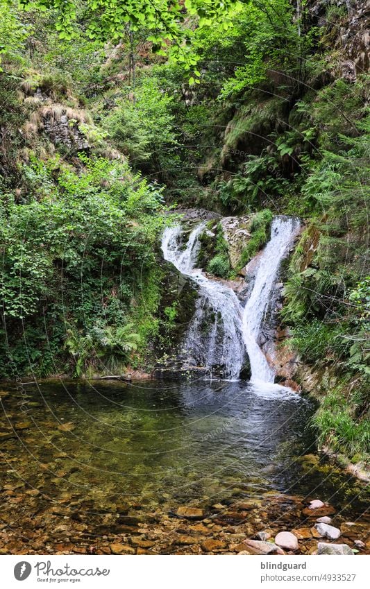 waterfall Black Forest Water Rock stones splash Drop Wet Nature Drops of water Damp Close-up Detail Comforting Stone Waterfall pretty clear mountain lake