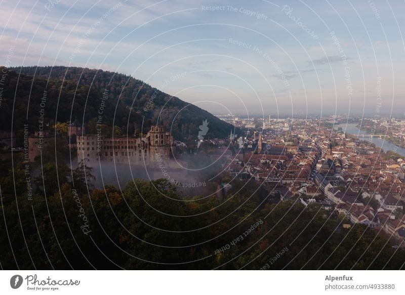 Crime Scene | Castle Park Heidelberg Lock Fog Eerie Castle grounds Colour photo Exterior shot Tourist Attraction Landmark Historic Panorama (View) Castle yard