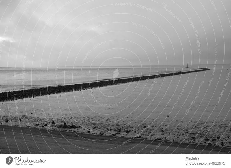 The Wadden Sea World Heritage Site with coastal protection on the coast of the North Sea at the harbor of Norden near Norddeich in East Frisia in Lower Saxony, photographed in classic black and white