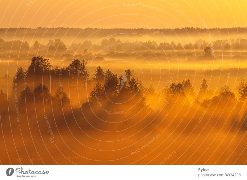 Amazing Sunrise Light Above Misty Landscape. Scenic View Of Foggy Morning In Misty Forest Park Woods. Summer Nature Of Eastern Europe. Sunset Dramatic Sunray Light Sunbeam