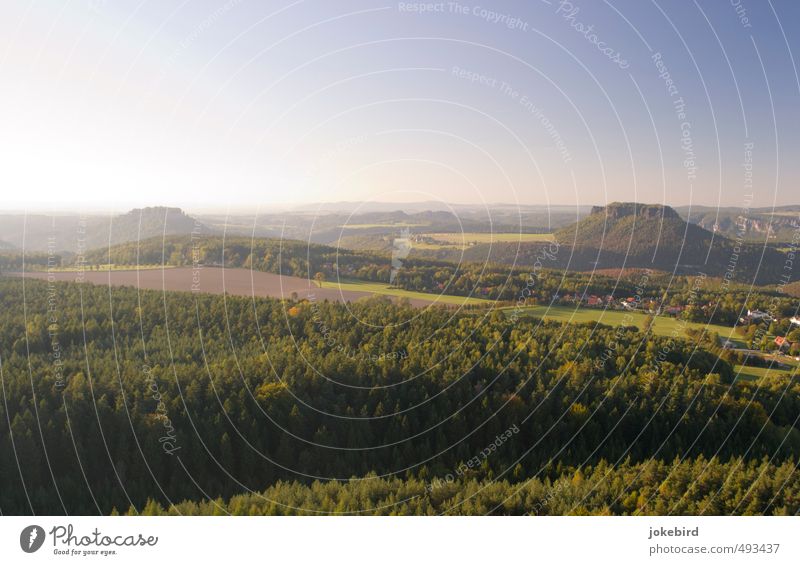 evening light Sky Cloudless sky Autumn Tree Field Forest Mountain Elbsandstone mountains Saxon Switzerland Table mountain Liliesstein Königsstein Mixed forest