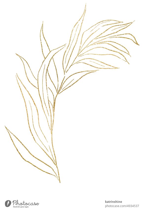 Golden outlines botanical sparkling leaves illustration, wedding design single element Botanical Decoration Element Foliage Garden Hand drawn Holiday Isolated