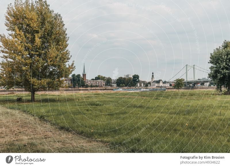 Panorama Rhine View Rheinaue Cologne Mülheim Church spire kim brosien Bridge Sky Aue panorama Nature Meadow ship Waterway Tree Drought vacation farsightedness