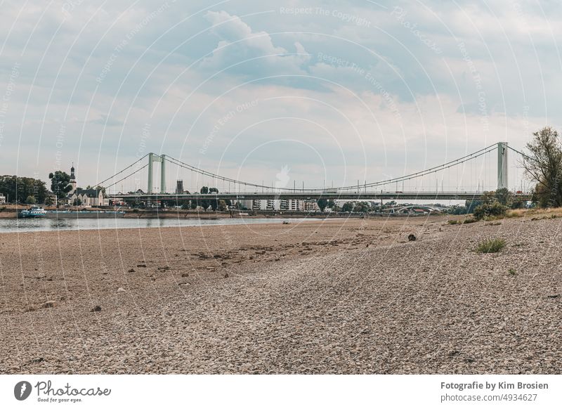 Mülheim Bridge at low water 2022 Rhine Scandal Express kim brosien River Body of water Sky Construction site panorama ship Gravel Rhine trip Sand Rain