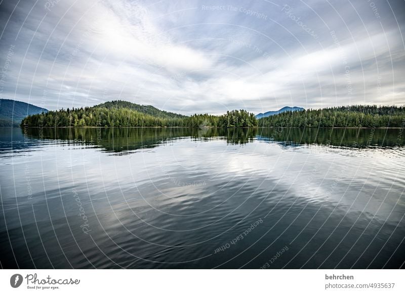 immersion reflection Sky Mountain Impressive especially Nature coast Landscape Ocean Forest British Columbia Water Adventure Freedom Canada North America