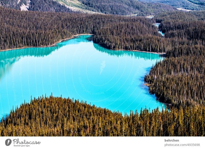 exaggerated | colored mountain lake Reflection Wolf wide Far-off places Wanderlust especially Fantastic Deserted Alberta Banff National Park Tourism