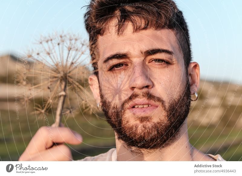 Man holding dry flower and looking at camera man blue sky countryside weekend summer fragile calm male young cloudless sky hill flora bloom daytime peaceful