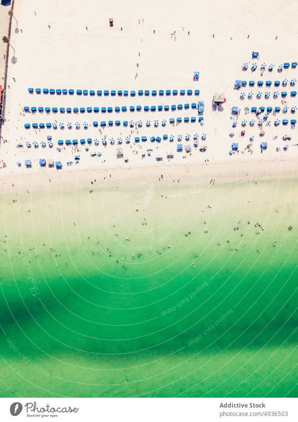 Aerial view of sunbeds and umbrellas placed on wide sandy beach ocean seashore resort coastline seascape landscape nature scenic picturesque sunlight clearwater