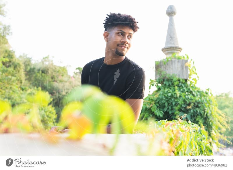 Confident Young Man Looking Away Standing Sky Curly Hair Smiling Park Lifestyle Leisure Smile Retaining Wall Attractive Candid Contemplation Attitude