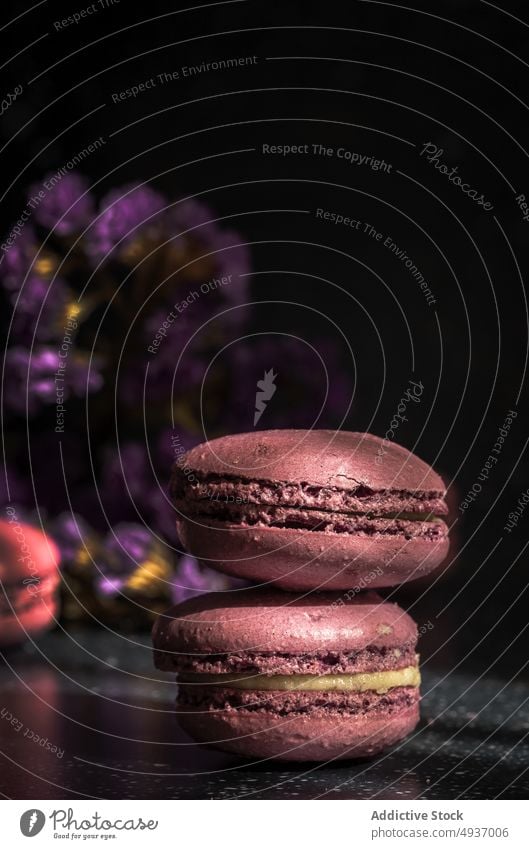 Stack of fresh macaroons on table stack breakfast sunlight morning dessert sweet food pastry treat purple cookie yummy color indulge gastronomy gourmet