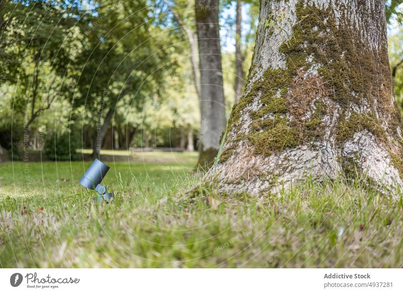 Lamp near mossy tree trunk lantern lawn grass modern summer park daytime green growth season lush light daylight rough bark lichen lamp illuminate grove