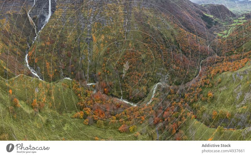 Mixed forest and curvy river in autumn mix lush curve countryside water tree fast landscape stream nature weather daytime woods woodland brook untouched