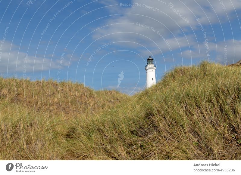 Hirtshals Fyr Denmark lighthouse and dunes shepherd's check Lighthouse fyr Marram grass dune landscape North Sea North Sea coast Ocean coastal protection