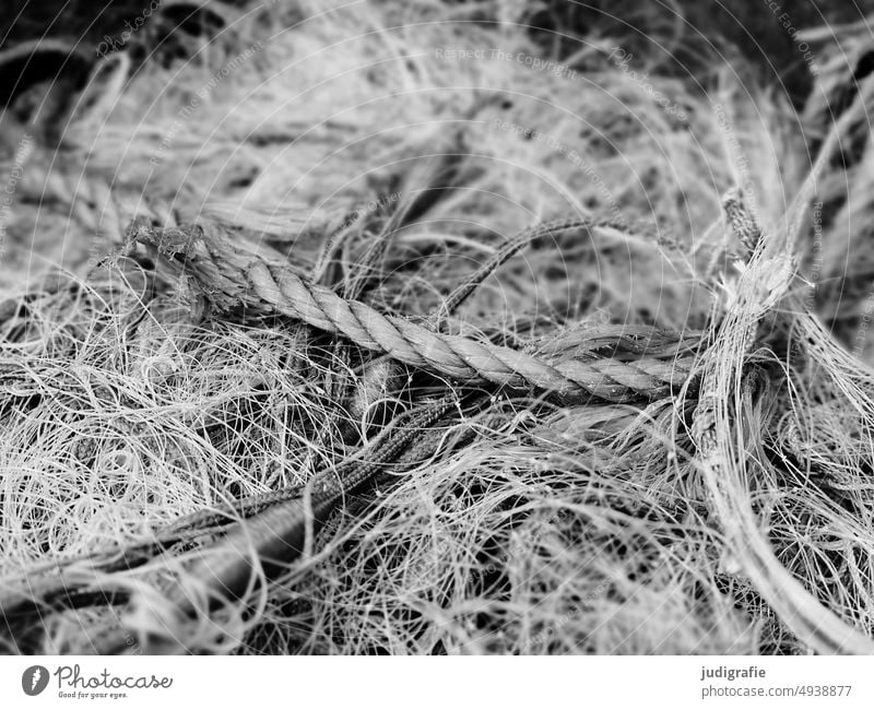 Net and rope Rope Fishing net Fishery Maritime Harbour Knot Network fish Structures and shapes gobbled Muddled Black & white photo havoc