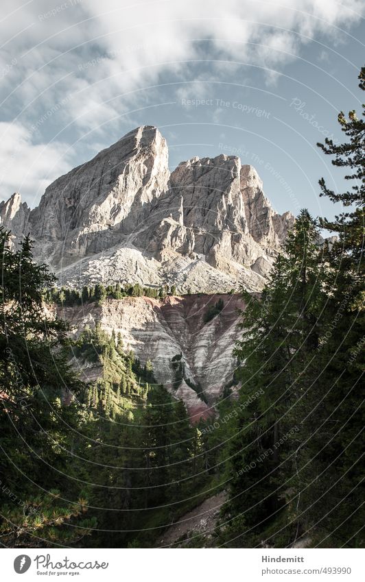 Peitlerkofel [portrait] Environment Landscape Sky Clouds Summer Climate Beautiful weather Tree Forest Hill Rock Alps Mountain Peak Canyon Dolomites Stone Stand