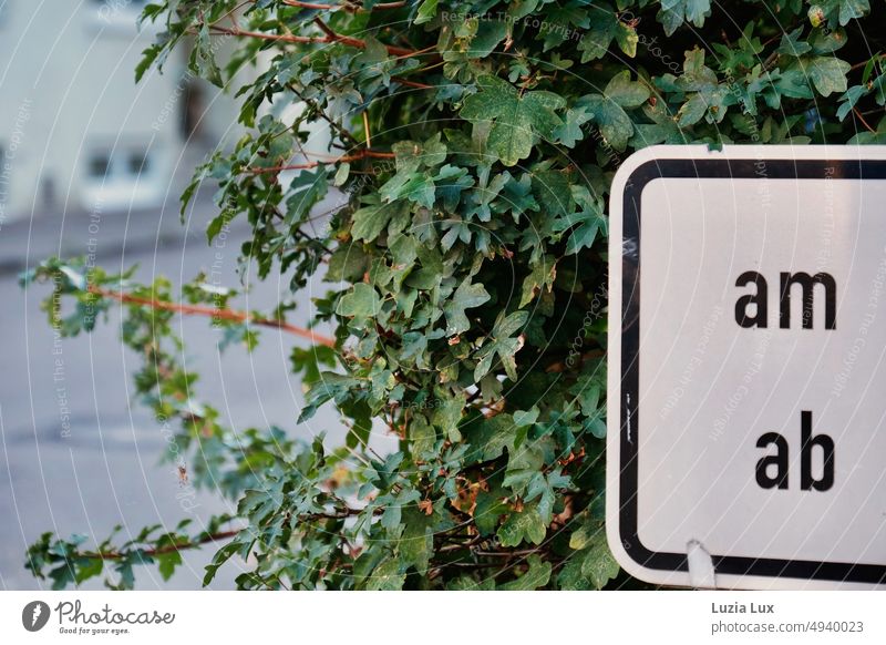 Sign in bushes Clue Signage Temporary temporary Information Hedge Green Signs and labeling sign Street Roadside cryptically