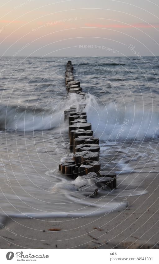 Groynes on the Baltic Sea at sunset | the wave breaks. groynes breakwater Wood Ocean Waves Water White crest naturally Nature Force of nature Beach Sand Sky