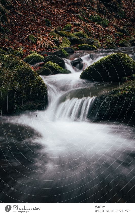 Cursed clear and icy water rushes through rocks and autumn leaves down the slope in the Beskydy Mountains protected area after the rain. Eastern Czech Republic, Central Europe