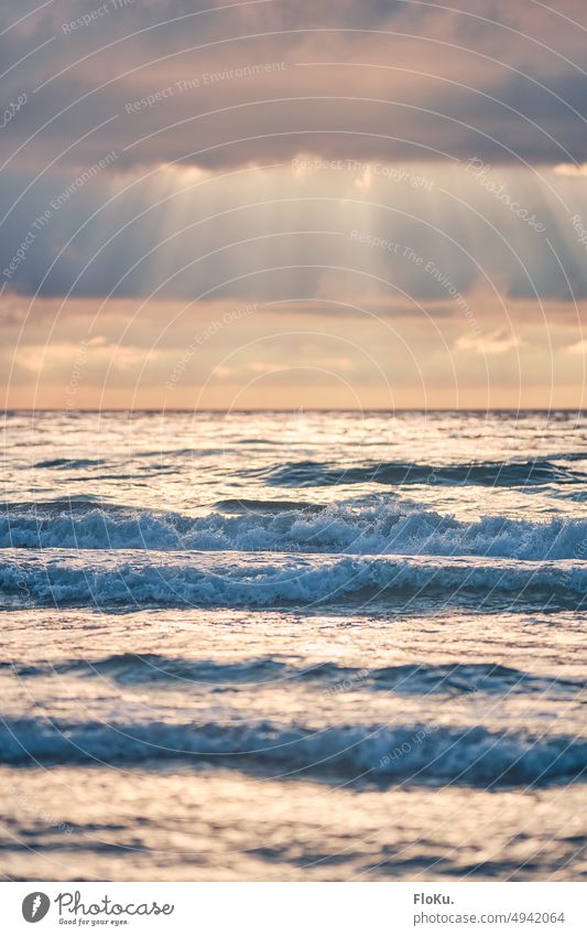 Surf on the North Sea in the evening light Ocean Landscape Beach Waves coast Exterior shot Water Nature Sky Colour photo Clouds Vacation & Travel Horizon Blue