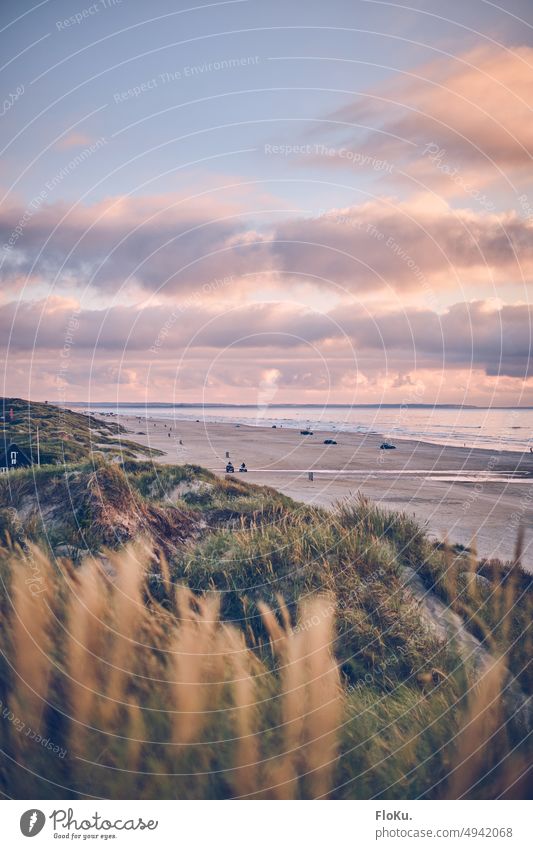 North Sea coast near Blokhus in the north of Denmark Ocean Beach Sand Nature Landscape Vacation & Travel Sky Relaxation duene Exterior shot Clouds Tourism dunes