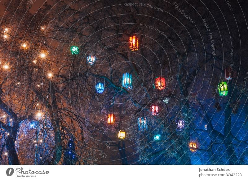 shining colorful lanterns on tree in Erfurt at Christmas market near cathedral square Christmas Fair luminescent Illuminate pretty Christmassy Advent trees